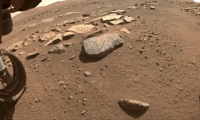 La scoperta su Marte ha confermato i cupi timori degli scienziati