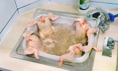 Attenzione: questa parte del pollo è un pericolo silenzioso